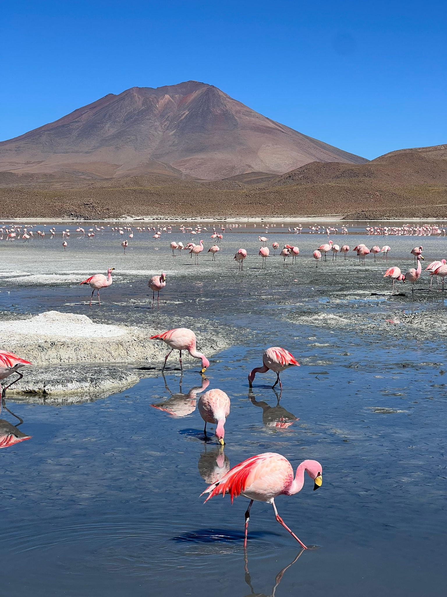 Panorama in Bolivia e Cile