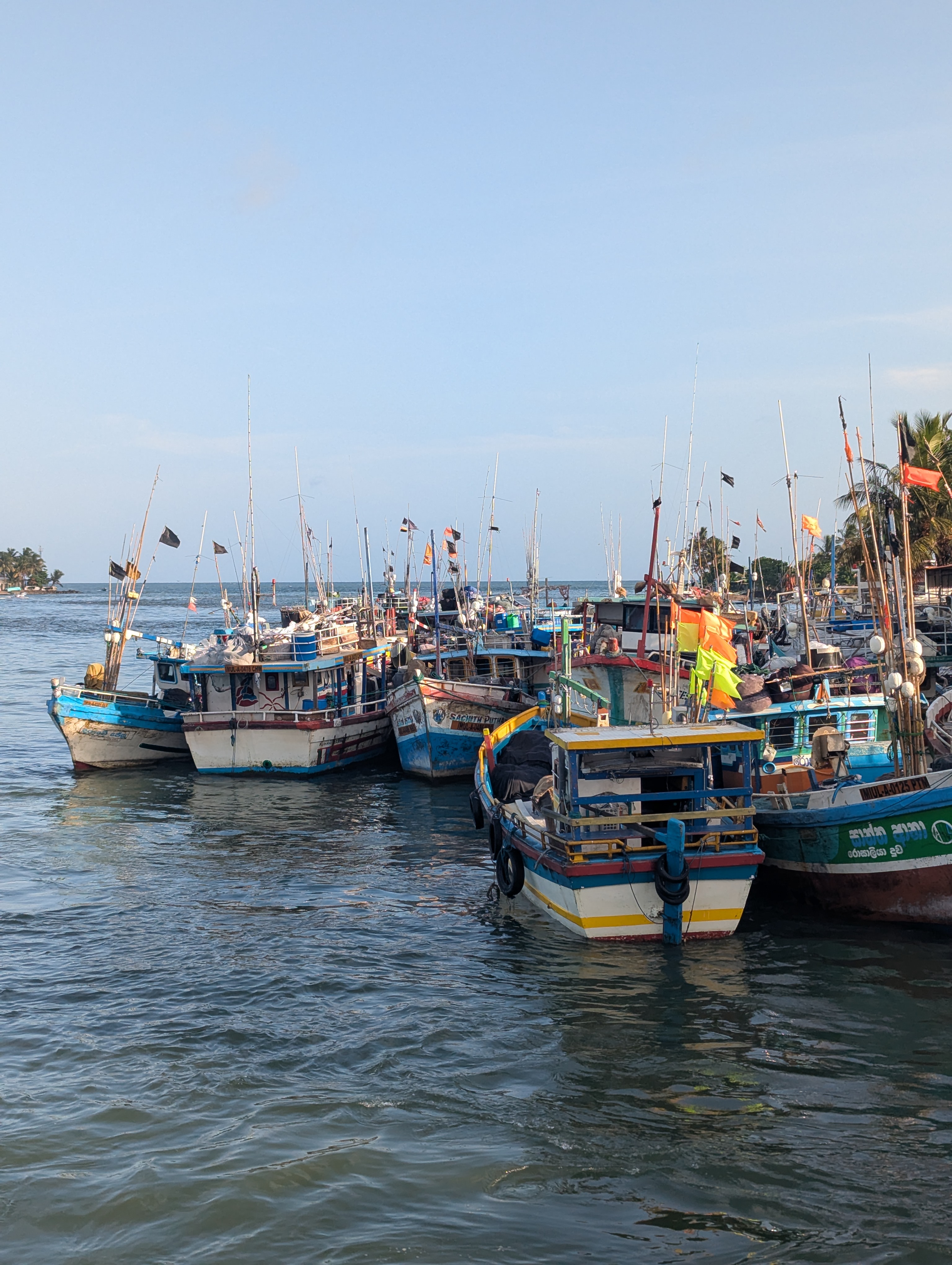 Costa tropicale del viaggio in Sri Lanka
